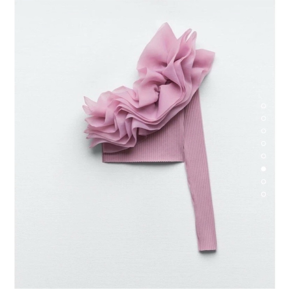 Zara Organza Crop Top